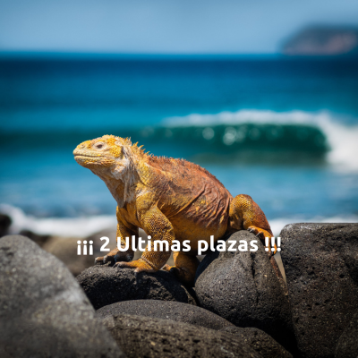 WP Galápagos (Cartel de ultimas plazas) v2 (1)