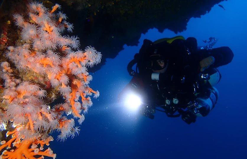 inmersiones-guiadas-rebreather-Liquid-Planet-Web